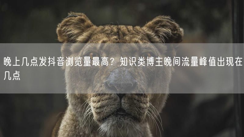 晚上几点发抖音浏览量最高？知识类博主晚间流量峰值出现在几点