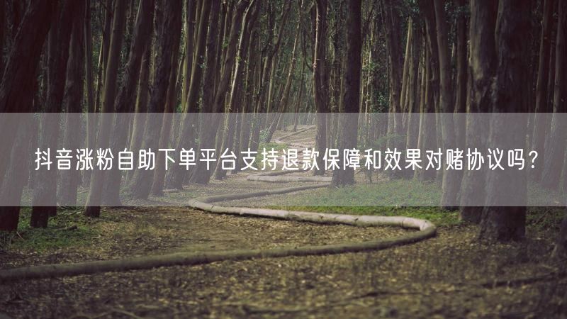 抖音涨粉自助下单平台支持退款保障和效果对赌协议吗？
