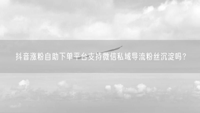 抖音涨粉自助下单平台支持微信私域导流粉丝沉淀吗？