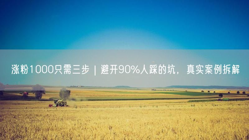 涨粉1000只需三步｜避开90%人踩的坑，真实案例拆解