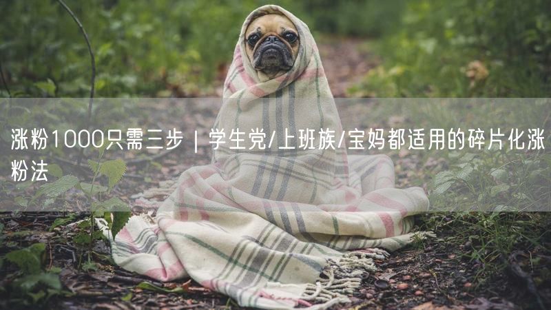 涨粉1000只需三步｜学生党/上班族/宝妈都适用的碎片化涨粉法