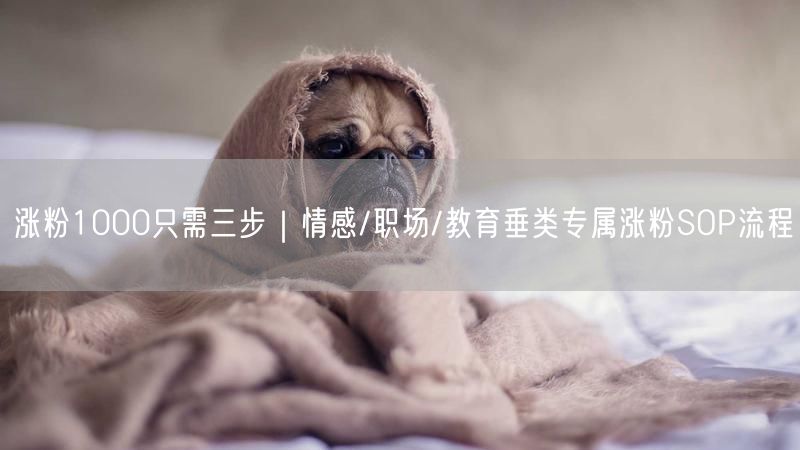 涨粉1000只需三步｜情感/职场/教育垂类专属涨粉SOP流程