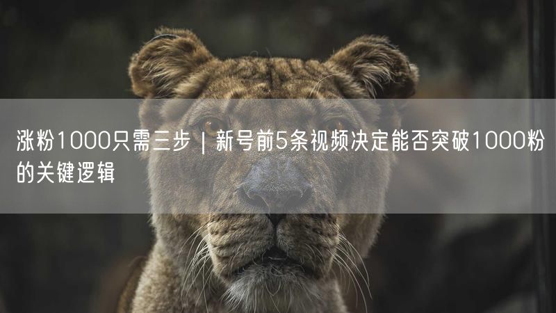 涨粉1000只需三步｜新号前5条视频决定能否突破1000粉的关键逻辑