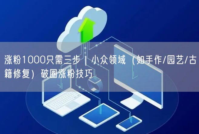 涨粉1000只需三步｜小众领域（如手作/园艺/古籍修复）破圈涨粉技巧
