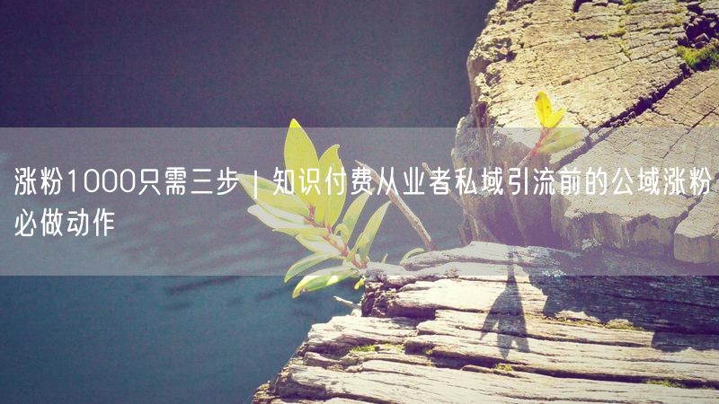 涨粉1000只需三步｜知识付费从业者私域引流前的公域涨粉必做动作