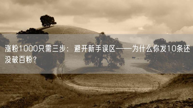 涨粉1000只需三步：避开新手误区——为什么你发10条还没破百粉？