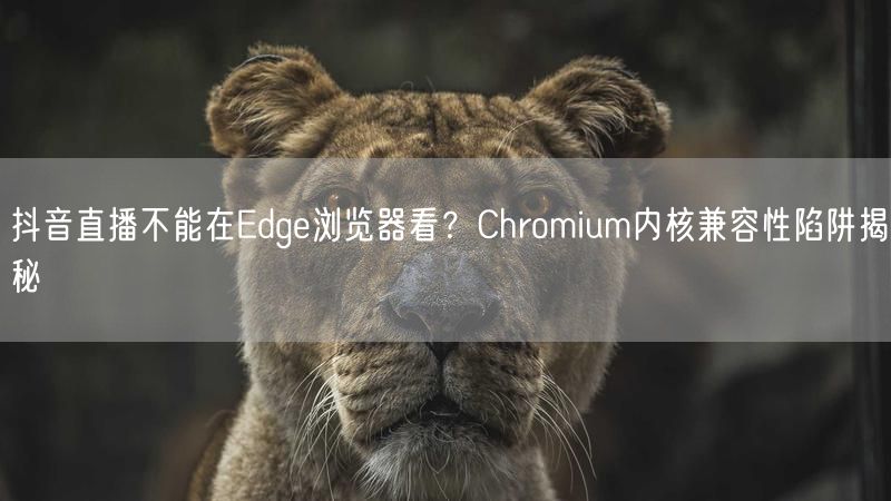 抖音直播不能在Edge浏览器看？Chromium内核兼容性陷阱揭秘