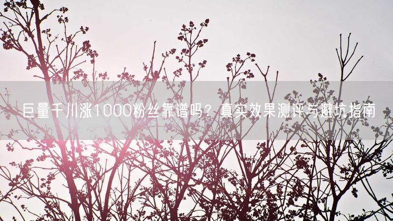 巨量千川涨1000粉丝靠谱吗？真实效果测评与避坑指南