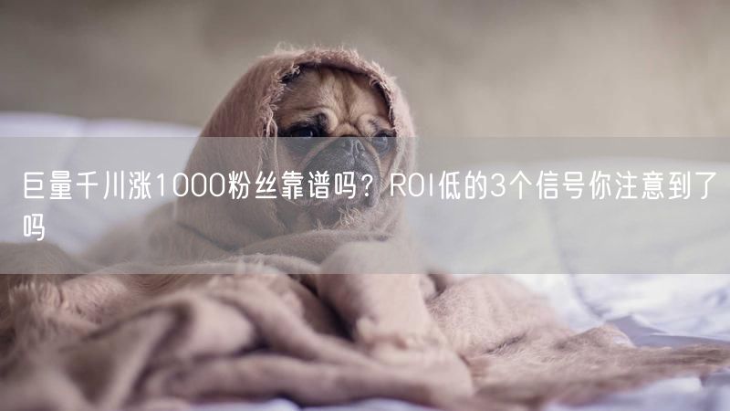 巨量千川涨1000粉丝靠谱吗？ROI低的3个信号你注意到了吗