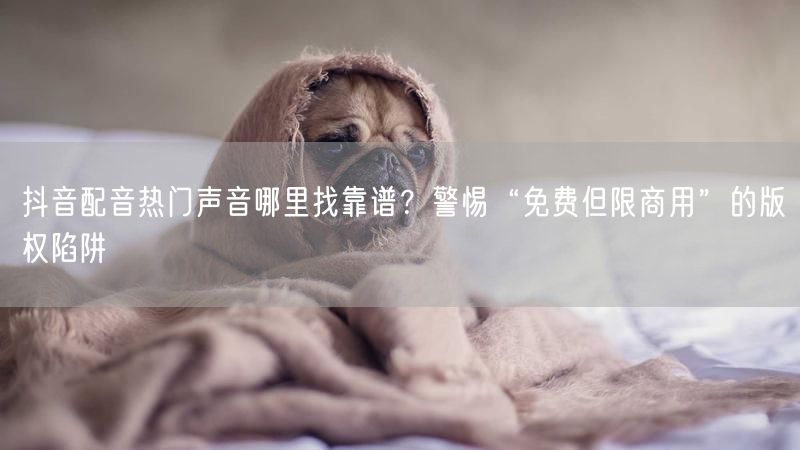 抖音配音热门声音哪里找靠谱？警惕“免费但限商用”的版权陷阱