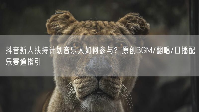 抖音新人扶持计划音乐人如何参与？原创BGM/翻唱/口播配乐赛道指引