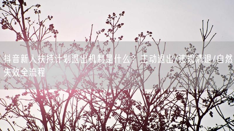 抖音新人扶持计划退出机制是什么？主动退出/违规清退/自然失效全流程