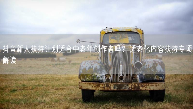 抖音新人扶持计划适合中老年创作者吗？适老化内容扶持专项解读