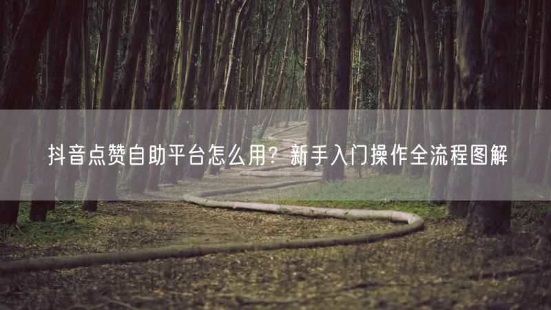 抖音点赞自助平台怎么用？新手入门操作全流程图解