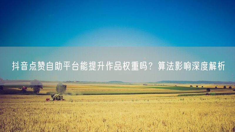 抖音点赞自助平台能提升作品权重吗？算法影响深度解析