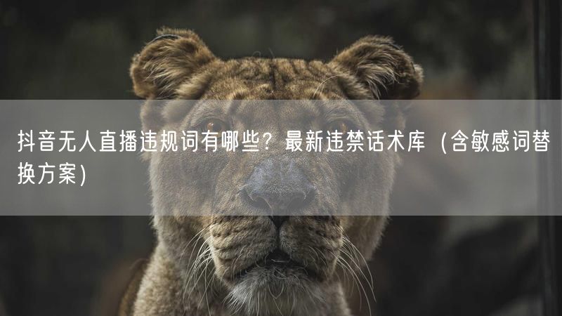抖音无人直播违规词有哪些？最新违禁话术库（含敏感词替换方案）