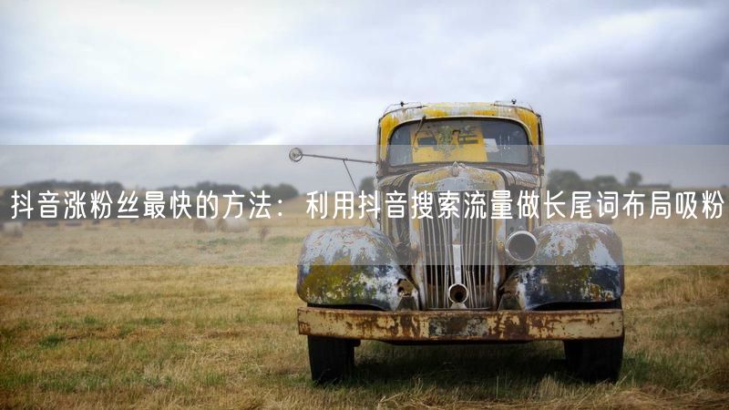 抖音涨粉丝最快的方法：利用抖音搜索流量做长尾词布局吸粉
