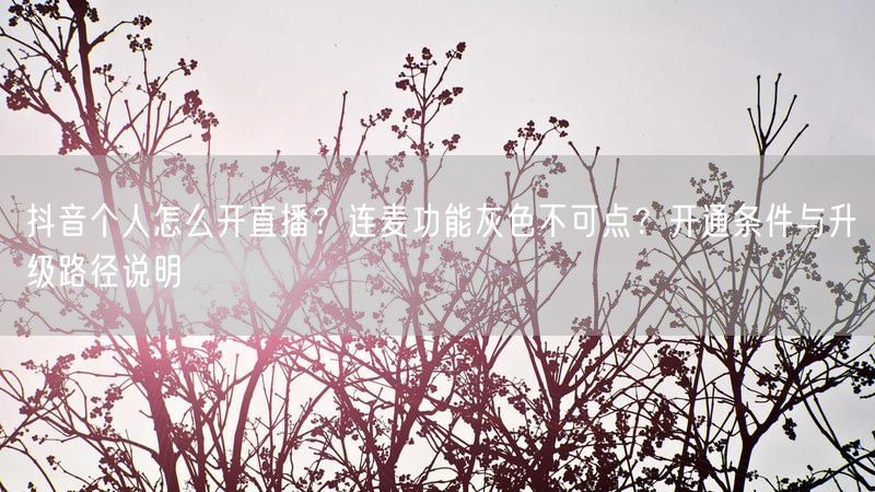抖音个人怎么开直播？连麦功能灰色不可点？开通条件与升级路径说明