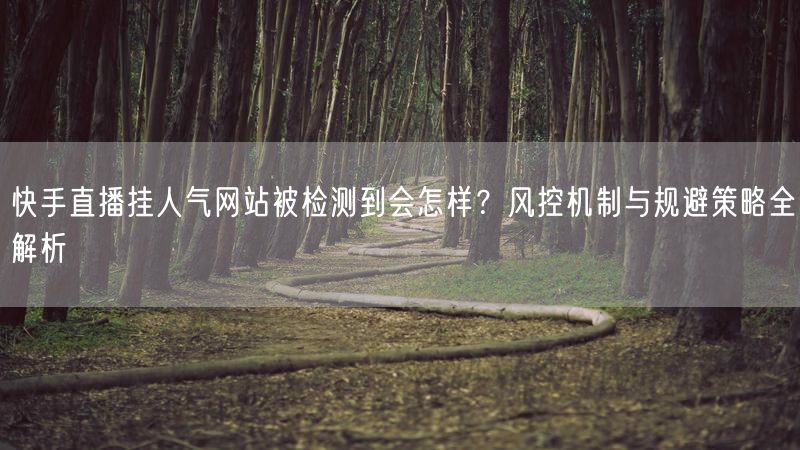 快手直播挂人气网站被检测到会怎样？风控机制与规避策略全解析