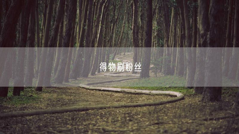 得物刷粉丝