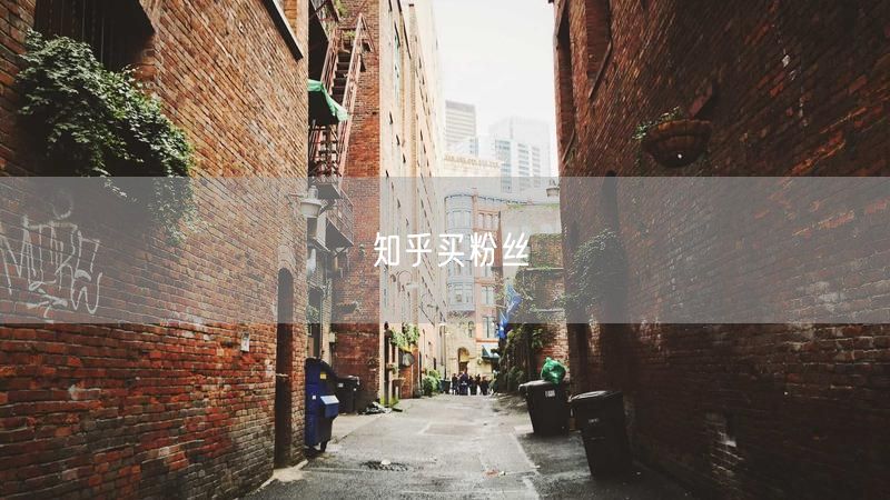知乎买粉丝