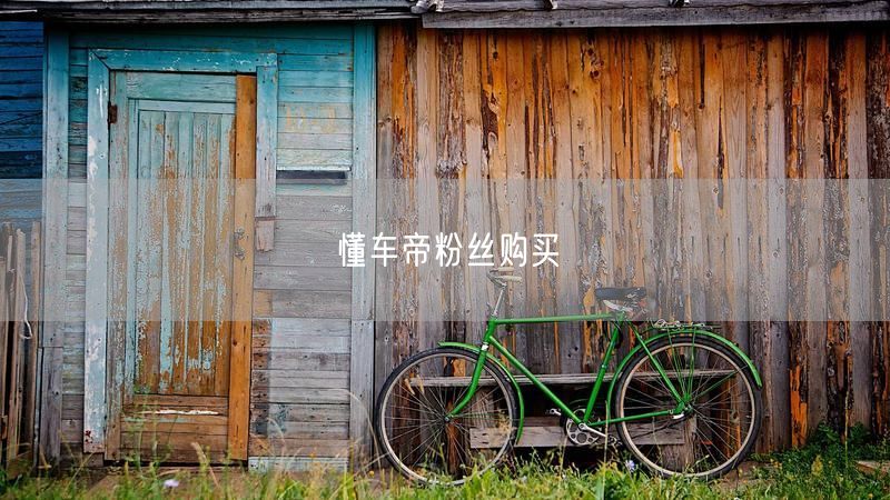 懂车帝粉丝购买
