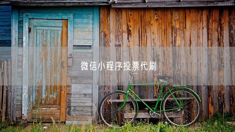 微信小程序投票代刷