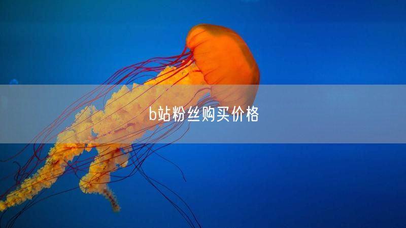b站粉丝购买价格