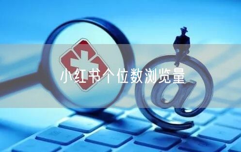 小红书个位数浏览量