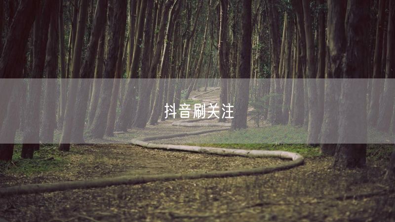 抖音刷关注