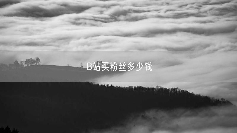 B站买粉丝多少钱