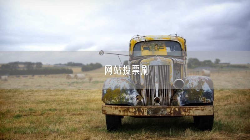 网站投票刷