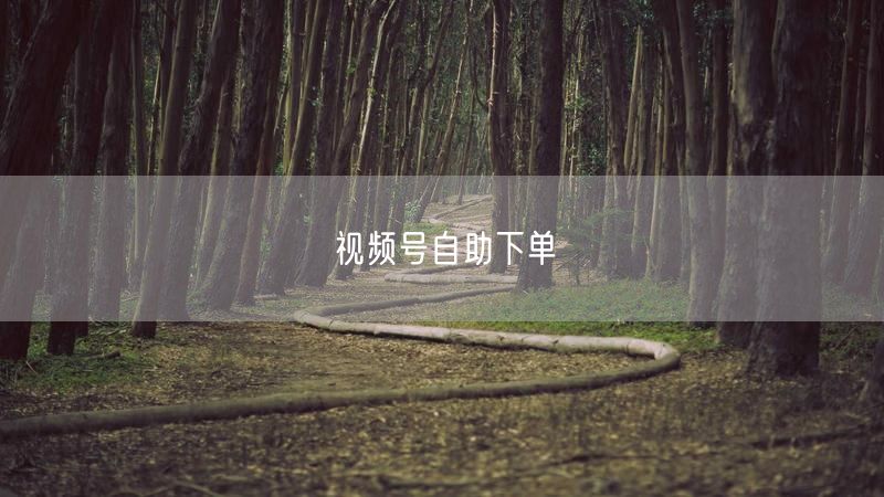 视频号自助下单