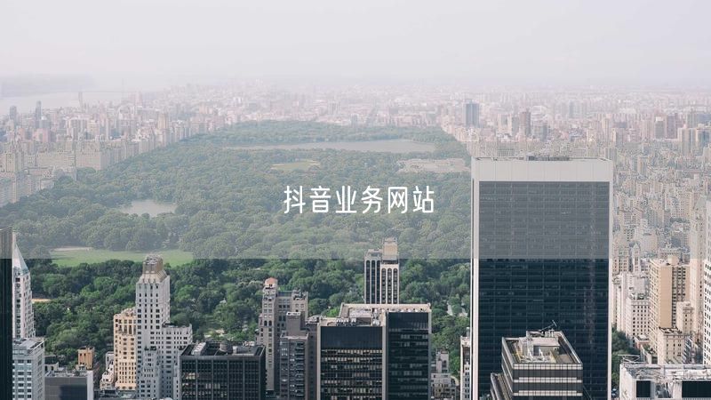 抖音业务网站