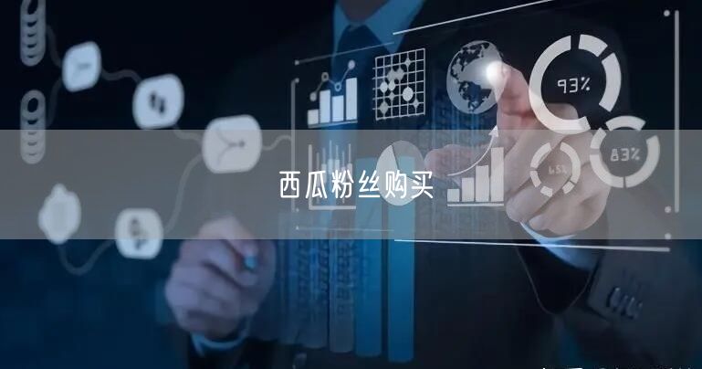 西瓜粉丝购买