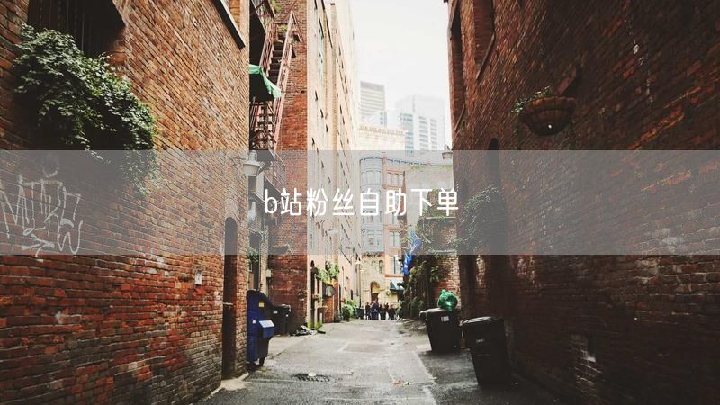 b站粉丝自助下单