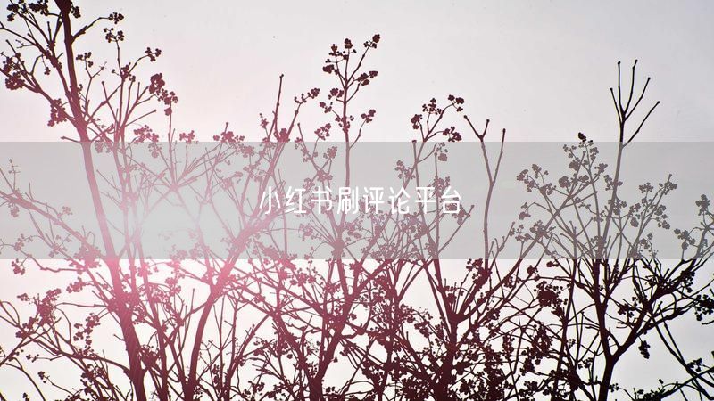 小红书刷评论平台