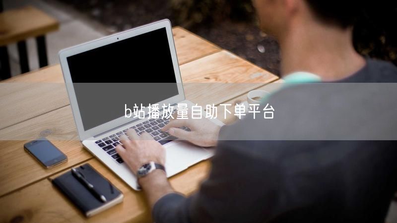 b站播放量自助下单平台