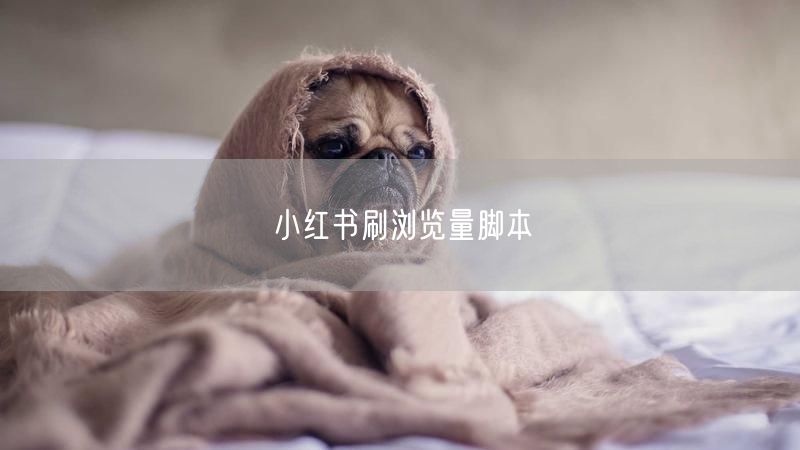 小红书刷浏览量脚本