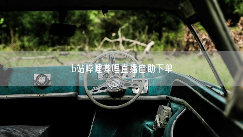 b站哔哩哔哩直播自助下单