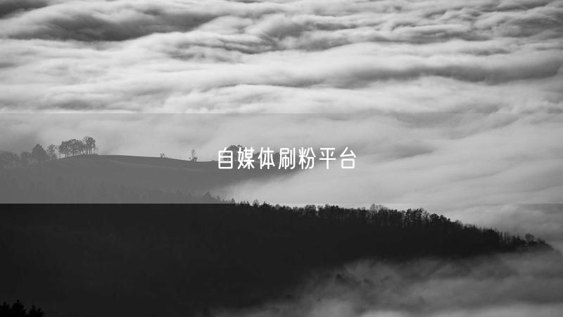 自媒体刷粉平台