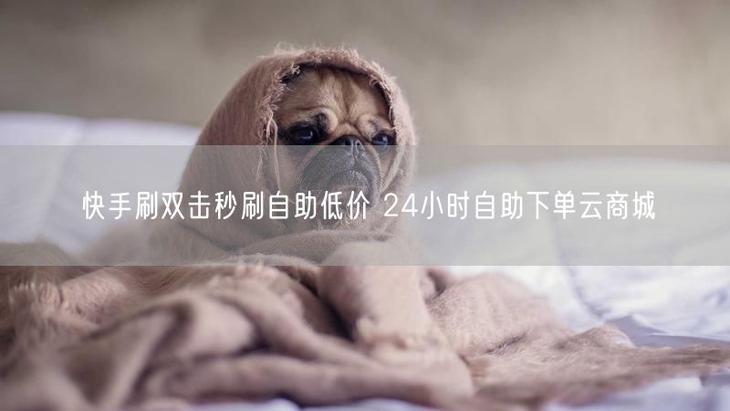 快手刷双击秒刷自助低价 24小时自助下单云商城