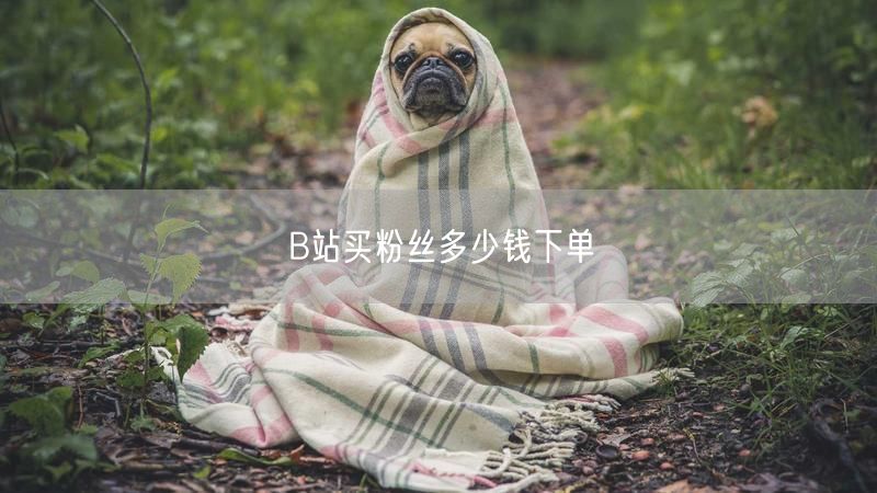 B站买粉丝多少钱下单
