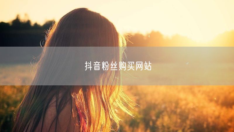 抖音粉丝购买网站
