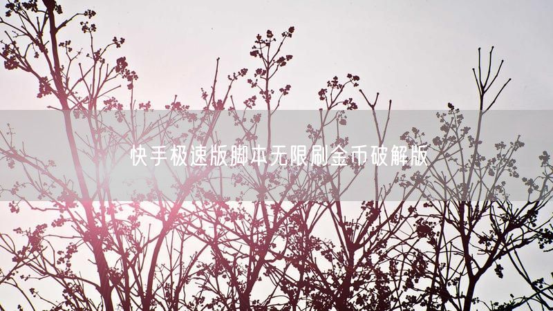 快手极速版脚本无限刷金币破解版