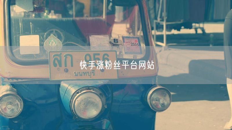 快手涨粉丝平台网站