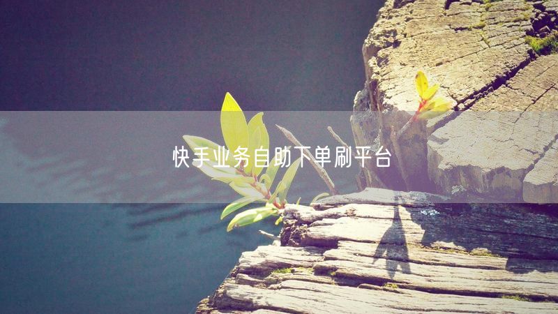 快手业务自助下单刷平台