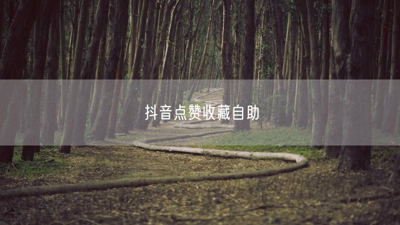 抖音点赞收藏自助