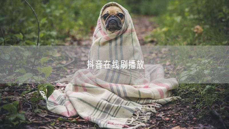 抖音在线刷播放