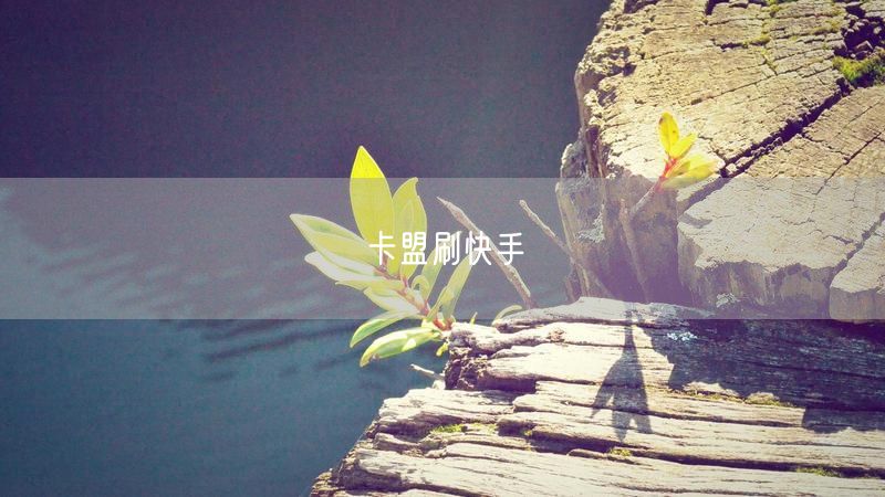 卡盟刷快手
